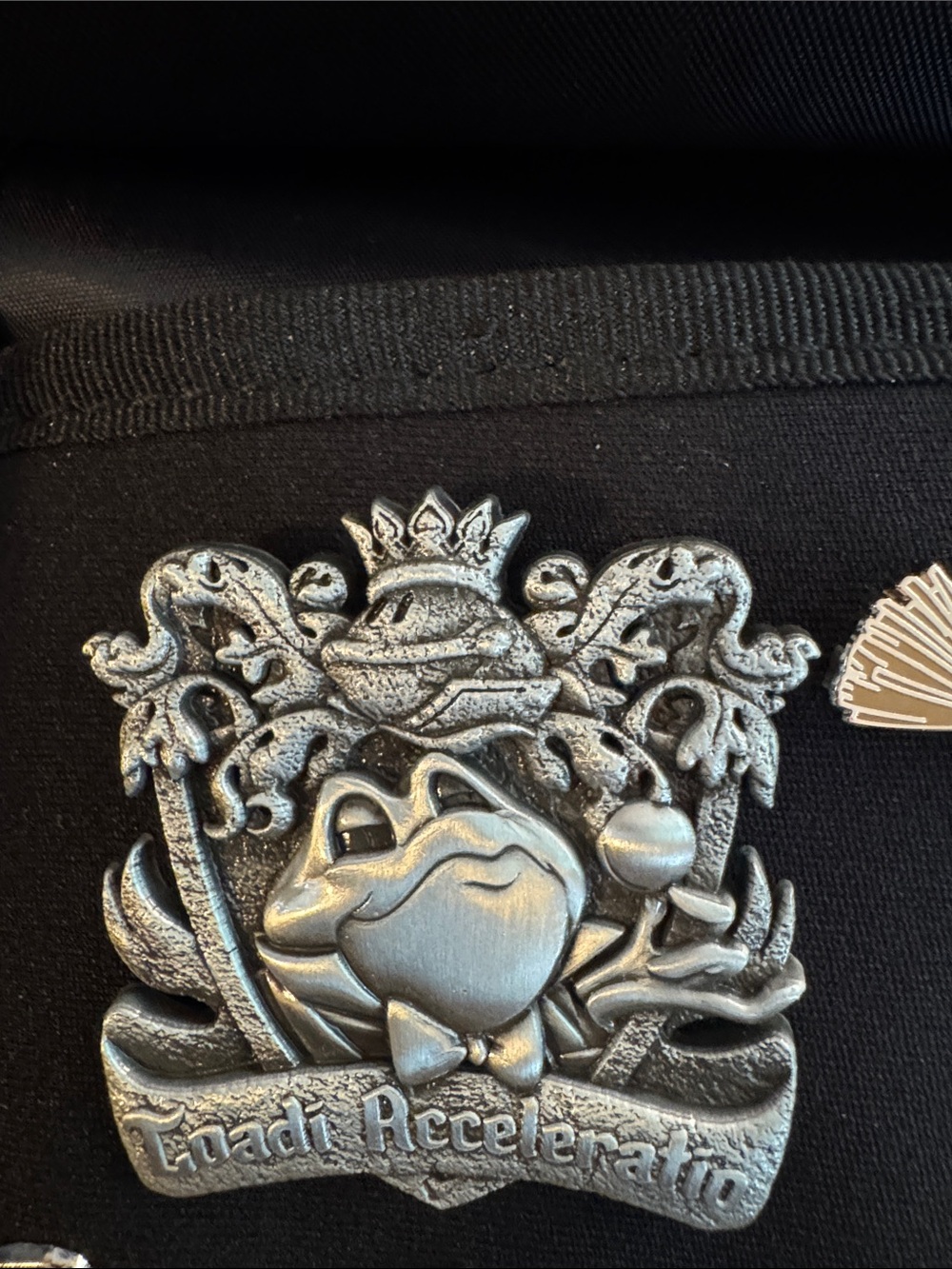 Disney Mr. toad Limited edition pin NWT